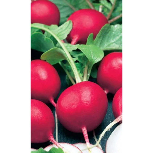 Семена Редис Чемпион 2гр (УД) Е/П