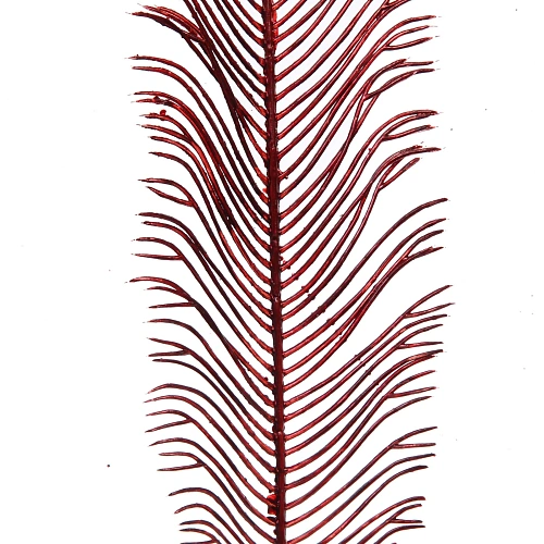 Ветка декоративная Волшебное перо 53 см, Рубин_3