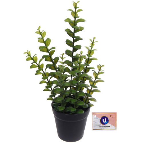 Цветок искусственный в горшке "Крассула" 35см