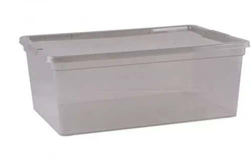 Контейнер универсальный с крышкой для хранения "MYSTERY", прозрачный, 37*26*14см, 10л