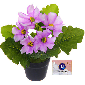 Цветочная композиция "Поцелуй лета" Космея сиреневая 20см